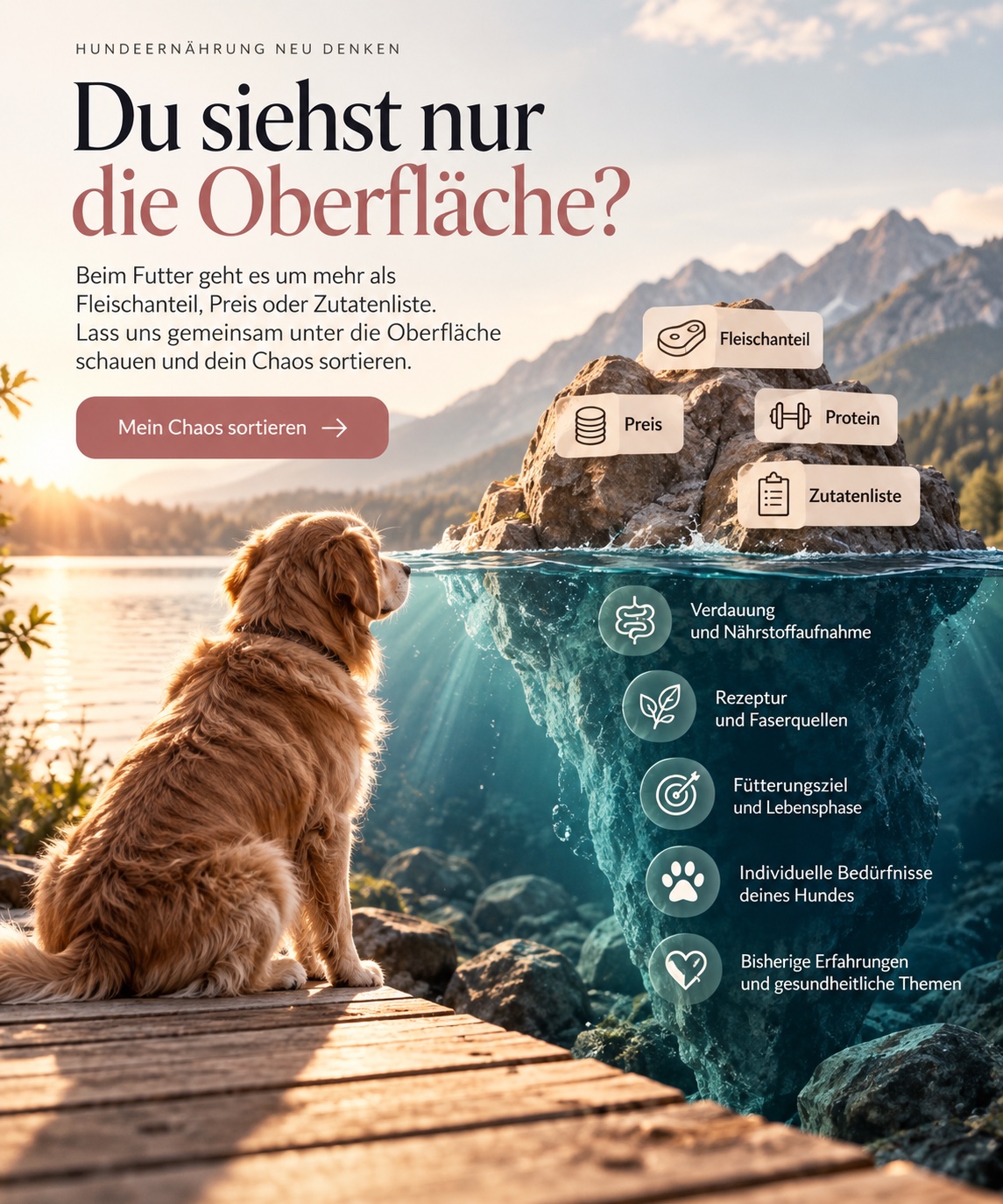 Hund sitzt am See und schaut auf einen Felsen im Wasser: Beim Hundefutter zählen Verdauung, Rezeptur, Fütterungsziel, individuelle Bedürfnisse und bisherige Erfahrungen, nicht nur Fleischanteil, Preis, Protein und Zutatenliste